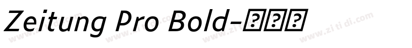 Zeitung Pro Bold字体转换